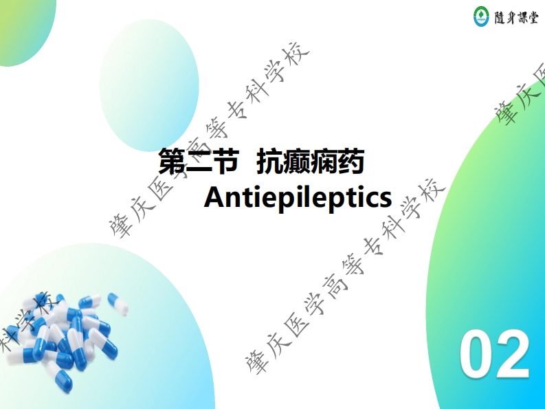 04第四章-2　抗癫痫药新质力文库 - 聚焦新质生产力发展的数字化知识库_行业洞察 / 理论成果 / 实践指南免费下载新质力文库